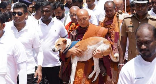 கொழும்பில் நிறைவடைந்த சமாதான பாதயாத்திரை